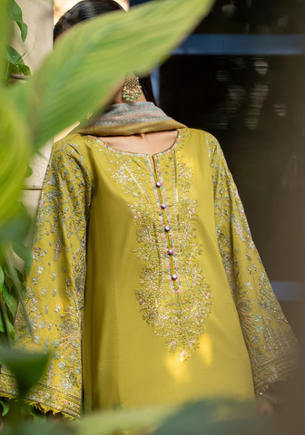 Rua by Casual Lite | Stitched Pre Fall Linen Drop-II Collection - 2025 (OLIVE MUSTARD) Rua by Casual Lite | Stitched Pre Fall Linen Drop-II Collection - 2025 (OLIVE MUSTARD)