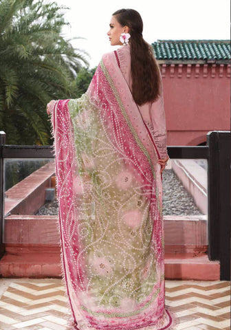 Nureh Bazar Unstitched Schiffli Lawn Collection'25 NE-106