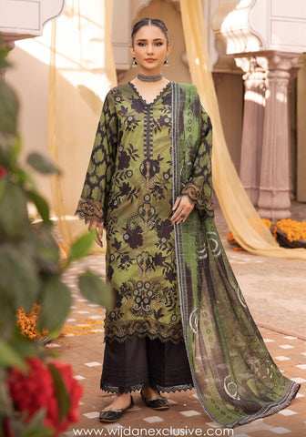 Morni Signature Lawn Collection'25 by Nur D-10