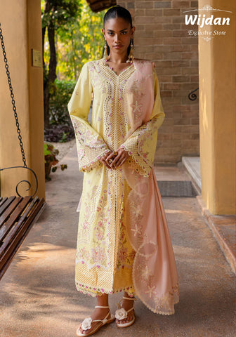 Qline Summer Lawn Collection'25 by Qalamkar QM-11