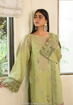 Izel by Marjjan | Unstitched Karandi Embroidered Collection - 2026 (MSK-06-A)