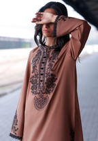 Safarnama by Casual Lite | Stitched Embroidered Lawn Collection - 2026 (D-04)