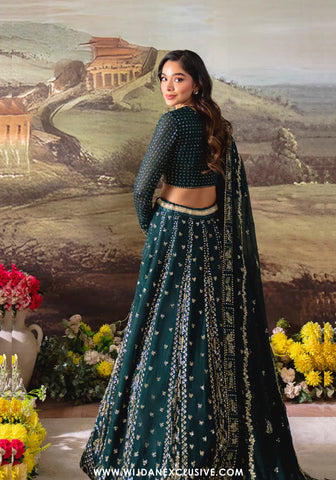 Dastaan by Neeshay | Unstitched Luxury Chiffon Collection - 2025 (SHAHNOOR)