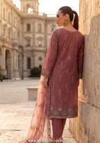 Dhamak by Wijdan | Unstitched Exclusive Formal Bana Dora Embroidered Collection - 2026 (D-01)