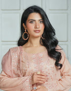 Dhamak by Wijdan | Unstitched Premium Fancy Collection - 2026 DH26PF-01