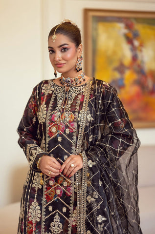 Zoraline by Bint e Noor | Stitched Fancy Embroidered Organza Collection - 2025 (BLACK)