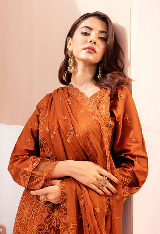 Pari by Wijdan | Unstitched Exclusive Chikankari Embroidered Collection - 2025 D-06
