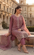 Dhamak by Wijdan | Unstitched Exclusive Formal Bana Dora Embroidered Collection - 2026 (D-01)