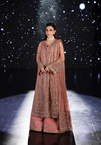 Stardom by Elaf - Unstitched Formal Handwork - 2025 ESH-05 BEYOND BEAUTY