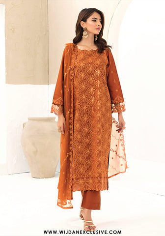 Pari by Wijdan | Unstitched Exclusive Chikankari Embroidered Collection - 2025 D-06
