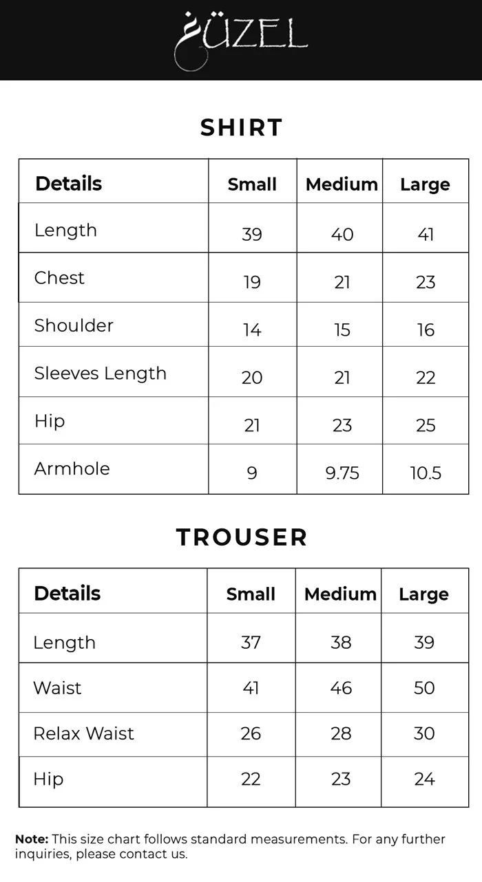 Mahroosh by Guzel | 3pc Stitched Formal Chiffon Collection - 2026 (SHANARA)