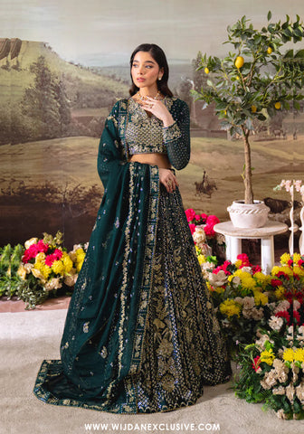 Dastaan by Neeshay | Unstitched Luxury Chiffon Collection - 2025 (SHAHNOOR)