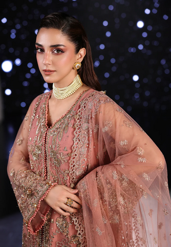Stardom by Elaf - Unstitched Formal Handwork - 2025 ESH-05 BEYOND BEAUTY