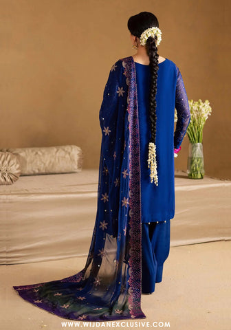Nureh Mukeshkari Unstitched Embroidered Mukesh Chiffon Collection - 2025 MK-15