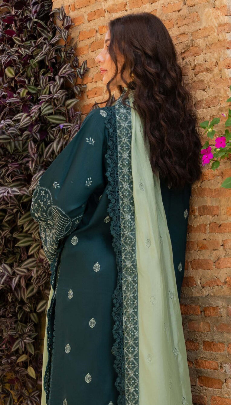 Amani by Marjjan | Unstitched Embroidered Viscose Collection - 2026 (MSV-07/B)