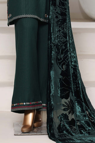 Sadabahar Stitched Luxury Dhanak with Palachi Shawl Collection - 2025 (GREEN)