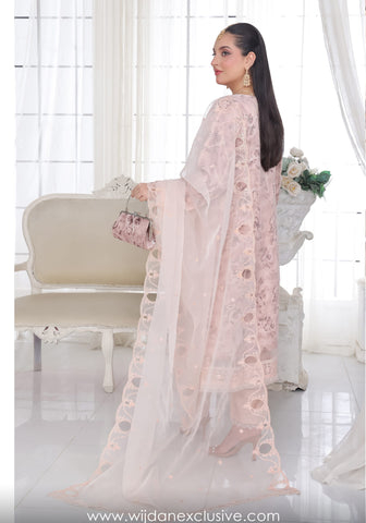 Bint-e-Noor Husna Festive Stitched Formal Collection'25 D-02