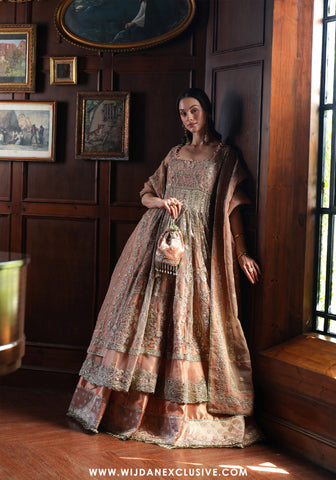 Inayat Unstitched Festive Formals Collection - 2025 (HAZE)