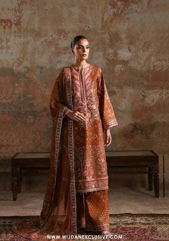 Afsana e Silk by Emaan Adeel | Unstitched Luxury Collection - 2025 (AARZO)