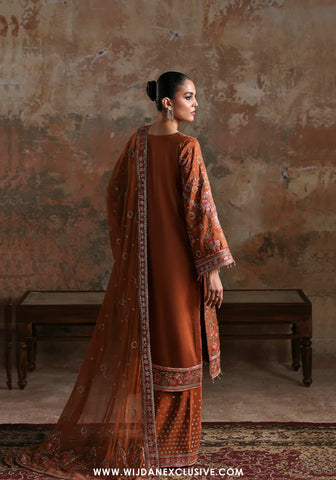 Afsana e Silk by Emaan Adeel | Unstitched Luxury Collection - 2025 (AARZO)