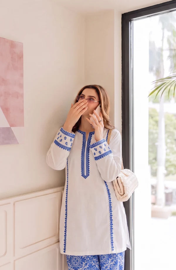 Afsana by Amna Khadija | Stitched 2pc Embroidered Lawn Collection - 2026 (D-02)