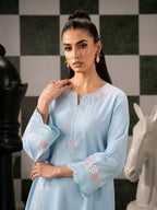 Allure by Wijdan | Stitched 2pc Embroidered Lawn Collection - 2026 (D-02)