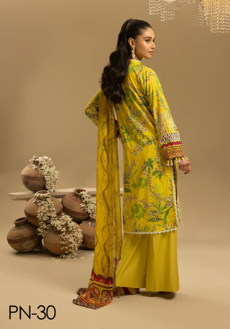 Nur Printkari Embroidered Lawn Collection'25 PN-30