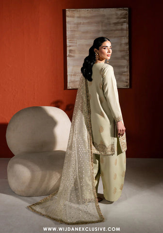 Neeshay Stitched Raw Silk Collection - 2025 RS-04 PISTA