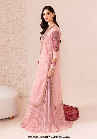 Xenia Unstitched Formals Vol-II Collection - 2025 (RANIZA)