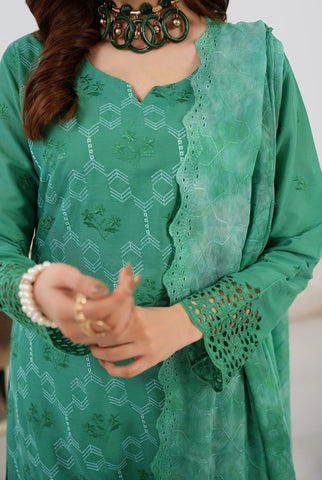 Arzu by Wijdan | Unstitched Chikankari Breeze Cotton Winter Collection - 2025 D-02