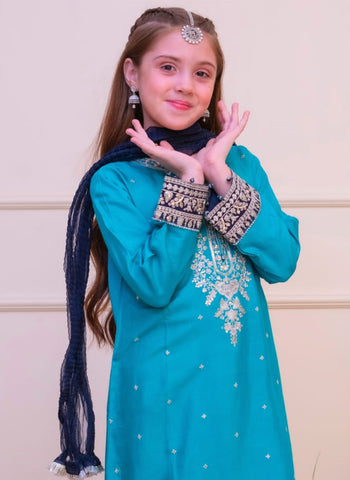 Shanzey Stitched Luxe Embroidered Silk Edit Collection - 2025 (SEA GREEN)