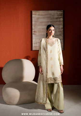 Neeshay Stitched Raw Silk Collection - 2025 RS-04 PISTA