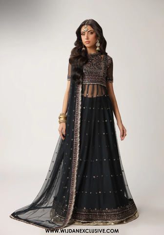 Layaan by Asim Jofa | Unstitched Festive Formal Collection - 2025 AJULO-02