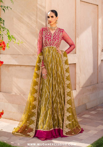 Sahiba Embroidered Net Formals - 2025 by Zarif SBA-03 LARA