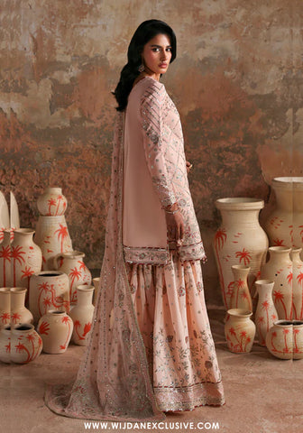Afsana e Silk by Emaan Adeel | Unstitched Luxury Collection - 2025 (NAZNEEN)