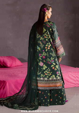 Nureh The Silk Unstitched Collection - 2025 S-29