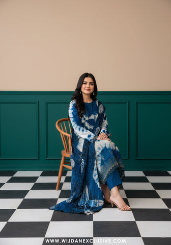 Abrish By Sobia Waseem | Unstitched Doriya Linen Embroidered Collection - 2025 D-04