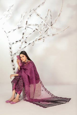 Ishq by Tawakkal | Semi-Stitched Embroidered Organza Complimentary Cluth & Khussa Collection - 2025 D-5132
