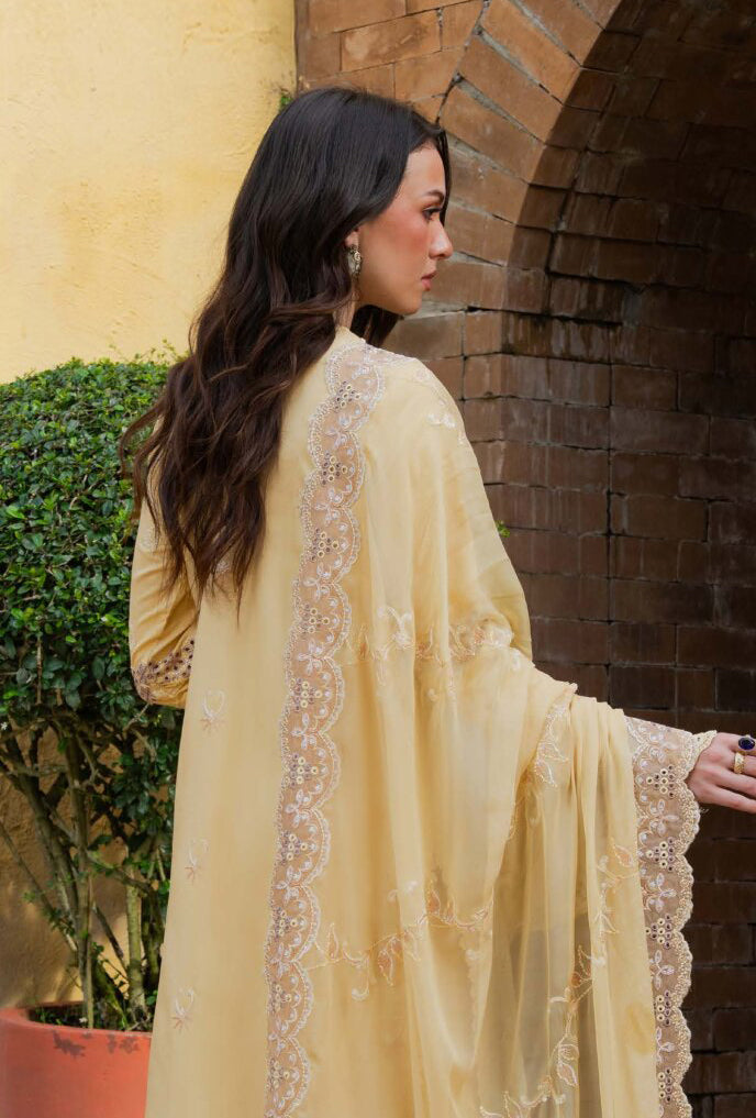 Amani by Marjjan | Unstitched Embroidered Viscose Collection - 2026 (MSV-08/B)