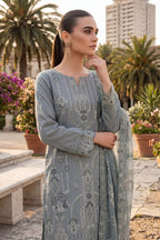 Dhamak by Wijdan | Unstitched Exclusive Formal Bana Dora Embroidered Collection - 2026 (D-04)
