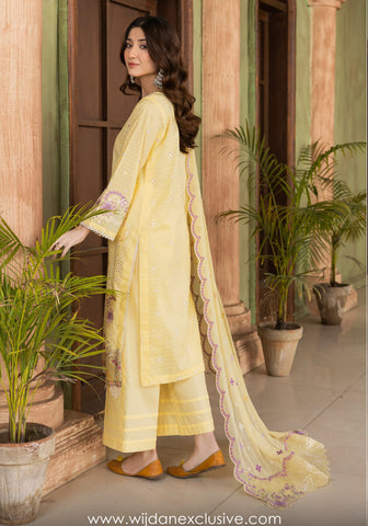 Abisha Un-Stitched Luxury Lawn Collection'25 D-04