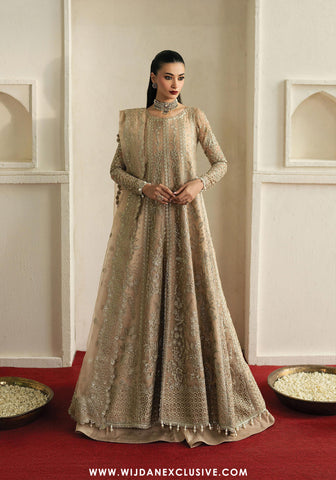 Pehli Nazar Unstitched Festive Collection - 2025 by Ayzel (MEHEKTI)