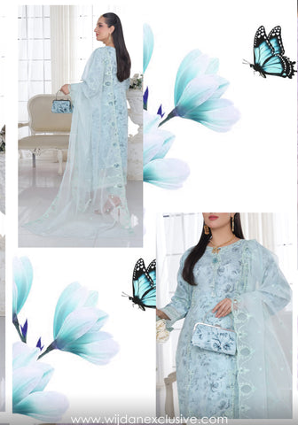 Bint-e-Noor Husna Festive Stitched Formal Collection'25 D-04