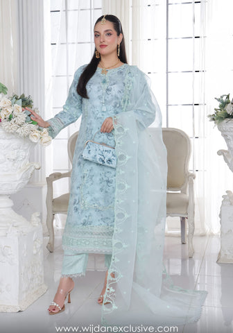 Bint-e-Noor Husna Festive Stitched Formal Collection'25 D-04