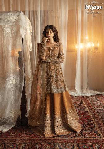 Hayat Wedding Formals'24 by Afrozeh AFH-06 NOORAY