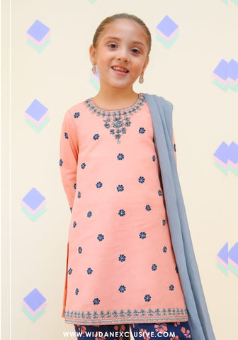 Shanzey Stitched KIds Embroidered Farshi Edit - 2025 (PEACH)