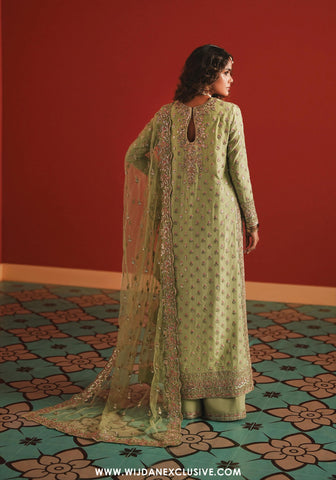 Divani by Afrozeh | Unstitched The Silk Wedding Edit - 2025 (SHAHWAR)