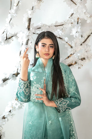 Ishq by Tawakkal | Semi-Stitched Embroidered Organza Complimentary Cluth & Khussa Collection - 2025 D-5131