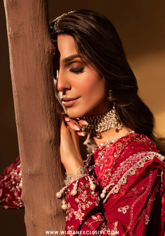 Aylin Unstitched Silk Hand Work Collection (VELVORY)