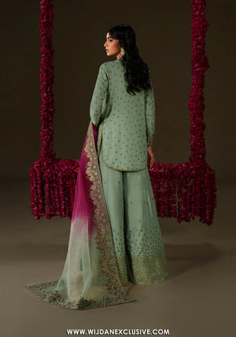 Iznik Unstitched Embroidered Formal Velvet Edit - 2025 IV-73